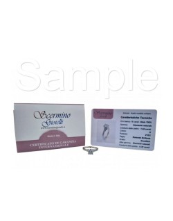 Esempio Certificato di Garanzia
