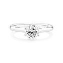 Anello Matrimonio 6 Griffe