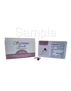 Orecchini Splendore del Cuore SG40834