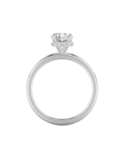 Solitario Halo Elegance in Oro Bianco 18k SG27350