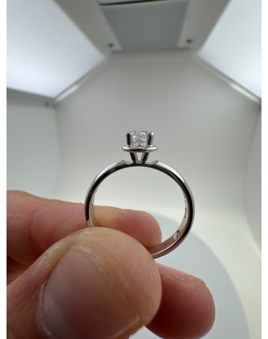 Solitario Iconico Damiani in Oro Bianco 18k SG34845