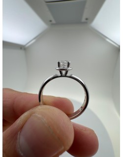 Solitario Iconico Damiani in Oro Bianco 18k SG34845