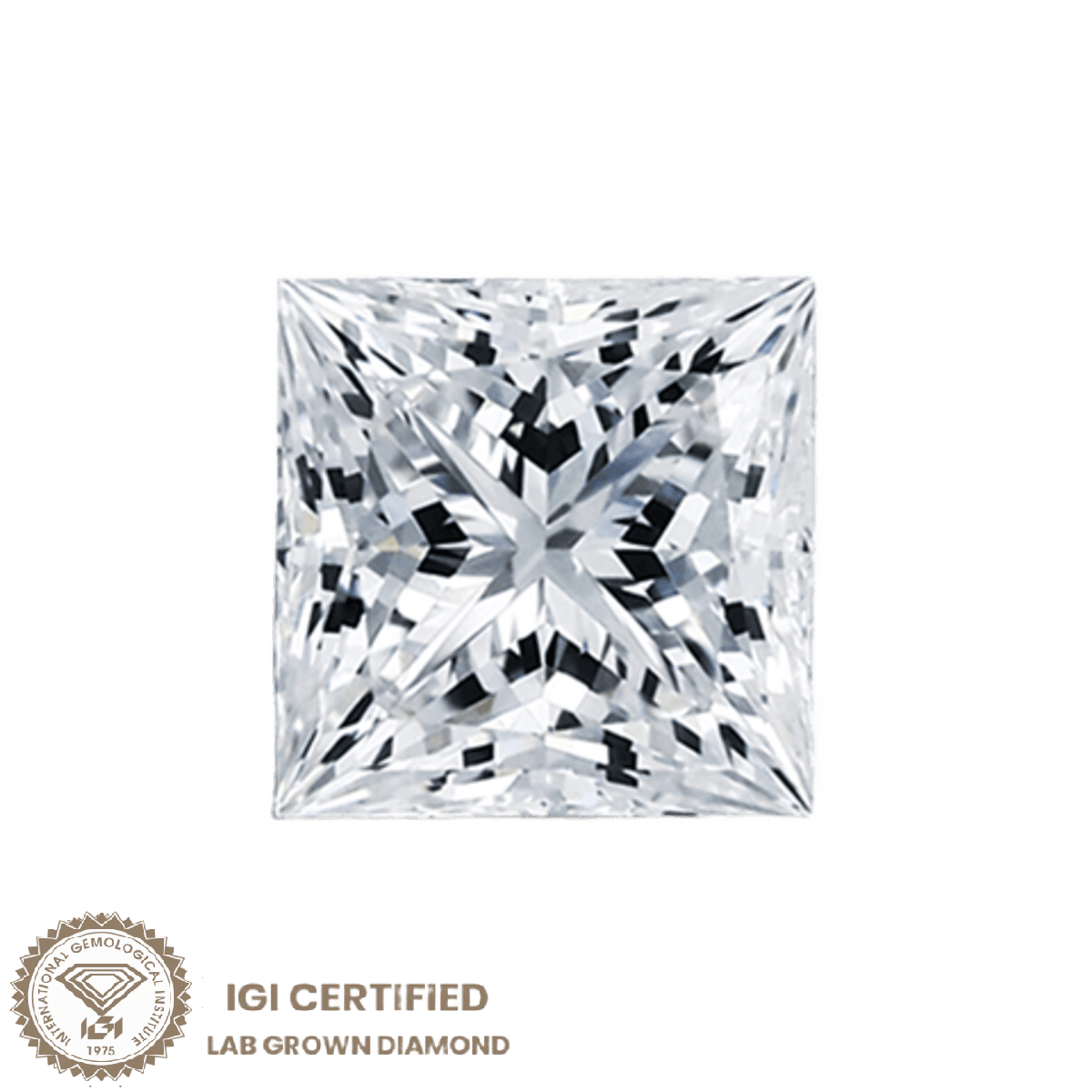 Diamante Princess Lab Grown 0.45 ct Certificato IGI SG28978